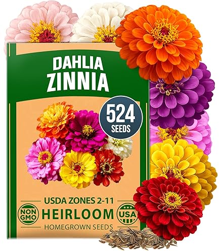 Amazon.com : Park Seed Zany Sunny-Side Up Gazania Seeds, Pack of