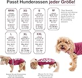 BellyGuard Dog Recovery Suit After Surgery Cozy Bodysuit view 3