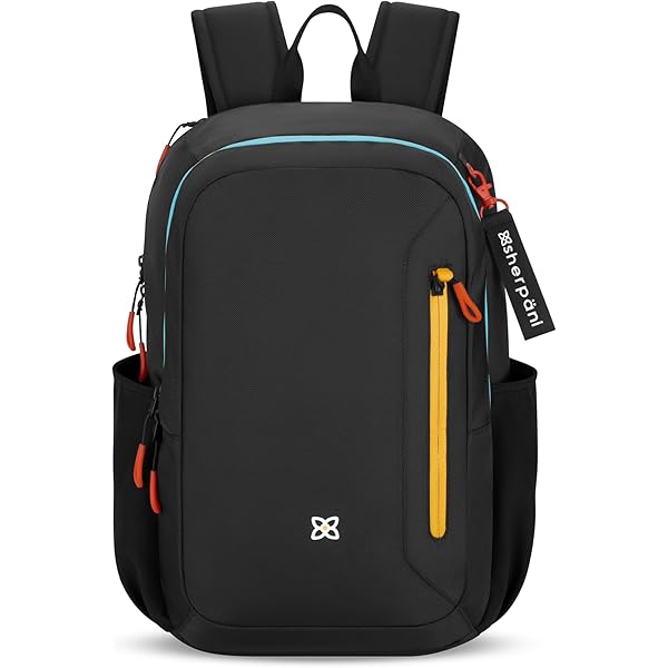 Amazon.com: Sherpani Dispatch, Convertible Backpack, 3 in 1 Tote