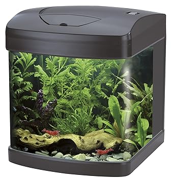 Wave A2001281 Xcube, 26 Liter, rot Led