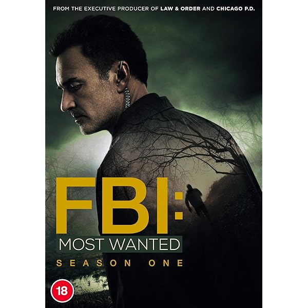 Amazon.com: FBI: Season Three [DVD] [2021] : Movies & TV