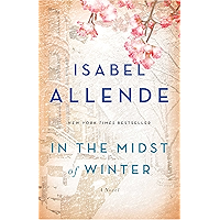 In the Midst of Winter: A Novel book cover