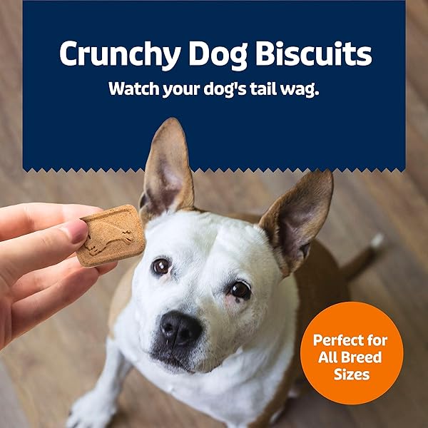 BLUE BUFFALO HEALTH BARS CRUNCHY DOG BISCUITS, OVEN-BAKED WITH NATURAL INGREDIENTS, PUMPKIN & CINNAMON, 16-OZ BAG