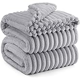 Bedsure GentleSoft Blankets Queen Size for Bed - Cozy Soft Blankets for Women, Cute Large Fleece Throws for Girls, Light Grey, 90x90 Inches