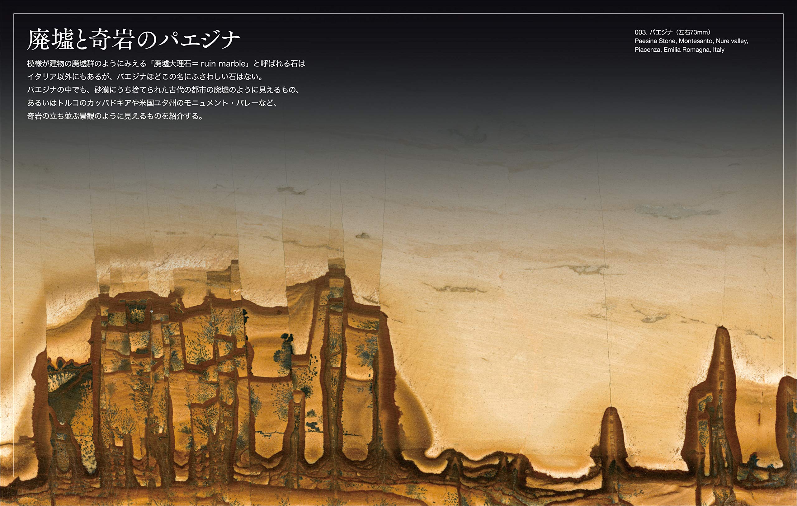 風景の石 パエジナ 不思議で奇麗な石の本 Amazon Com Books