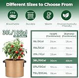 T4U 5-Pack 10 Gallon Fabric Grow Bags with Handles | Heavy Duty Nonwoven view 5