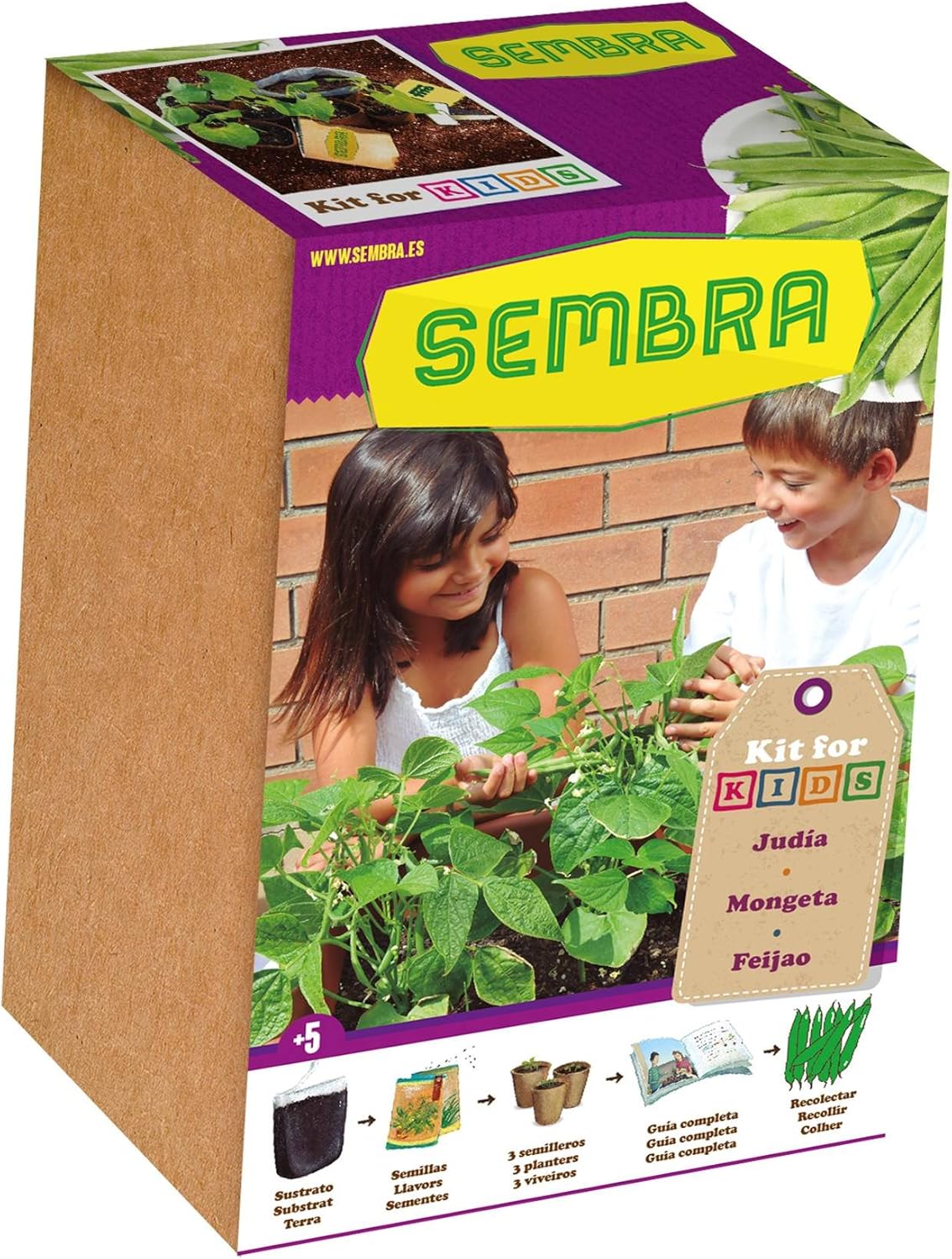 Sembra 9100 Set De Siembra Mis Judías, 34x9.5x23.3 cm: Amazon.es ...