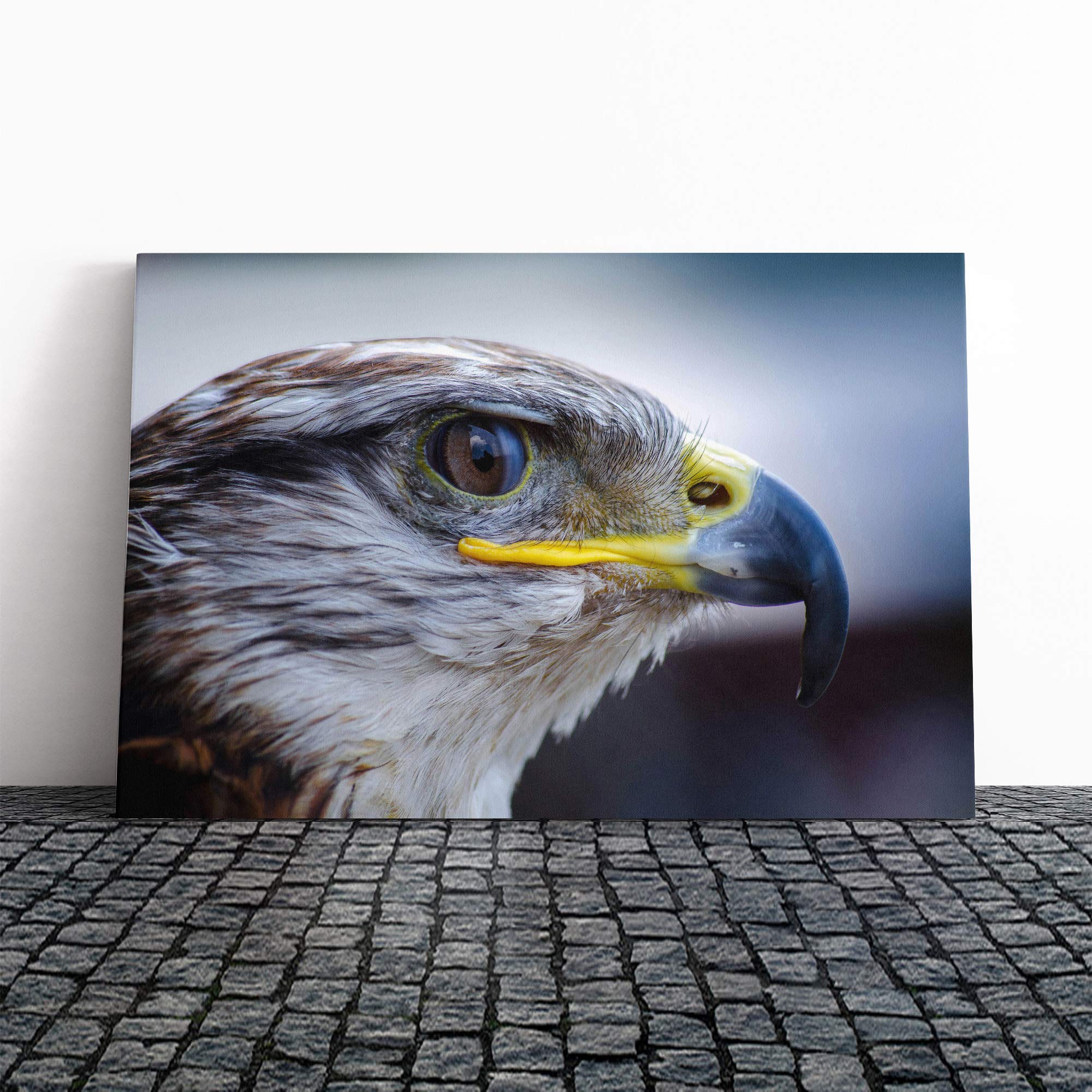 Falcon Bird (2) Canvas Print | Gallery Wrapped 30mm Frame Wall Art | 20x14 inches | Ready to Hang | Modern Animals Picture | Living Room Bedroom Lounge Office