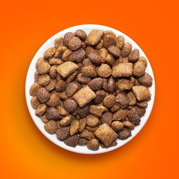 IAMS HEALTHY ENJOYMENT DRY CAT FOOD CHICKEN & BEEF RECIPE, CAT FOOD DRY RECIPE, 6 LB. BAG