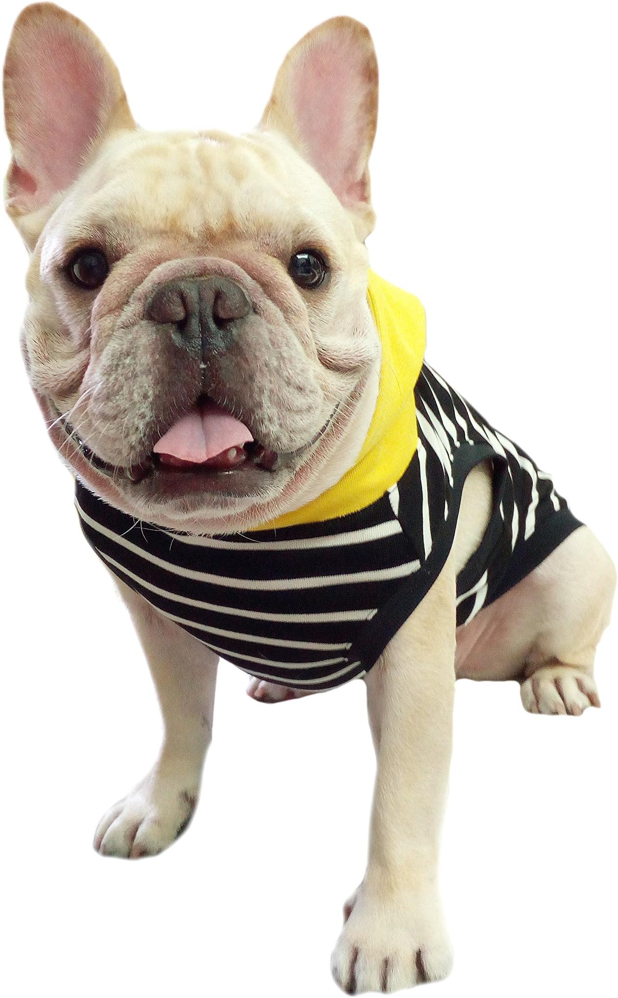 Frenchie Pet Apparel Black Stripe with Yellow Hoodie for French Bulldog or Pug Wear