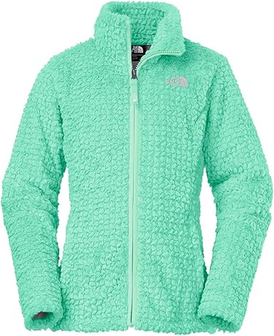 the north face world jacket