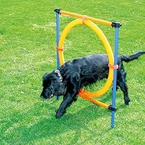 Telescopic Aperture 600mm Dog Ramp Spiareal Dog Agility Equipment