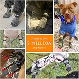 BEAUTYZOO Dog Socks Anti-Slip Paw Protectors 3 Pairs Medium view 4