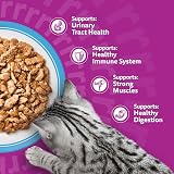 Whiskas 7+ Cat Pouches Fish Favourites in Jelly 12x85g view 7