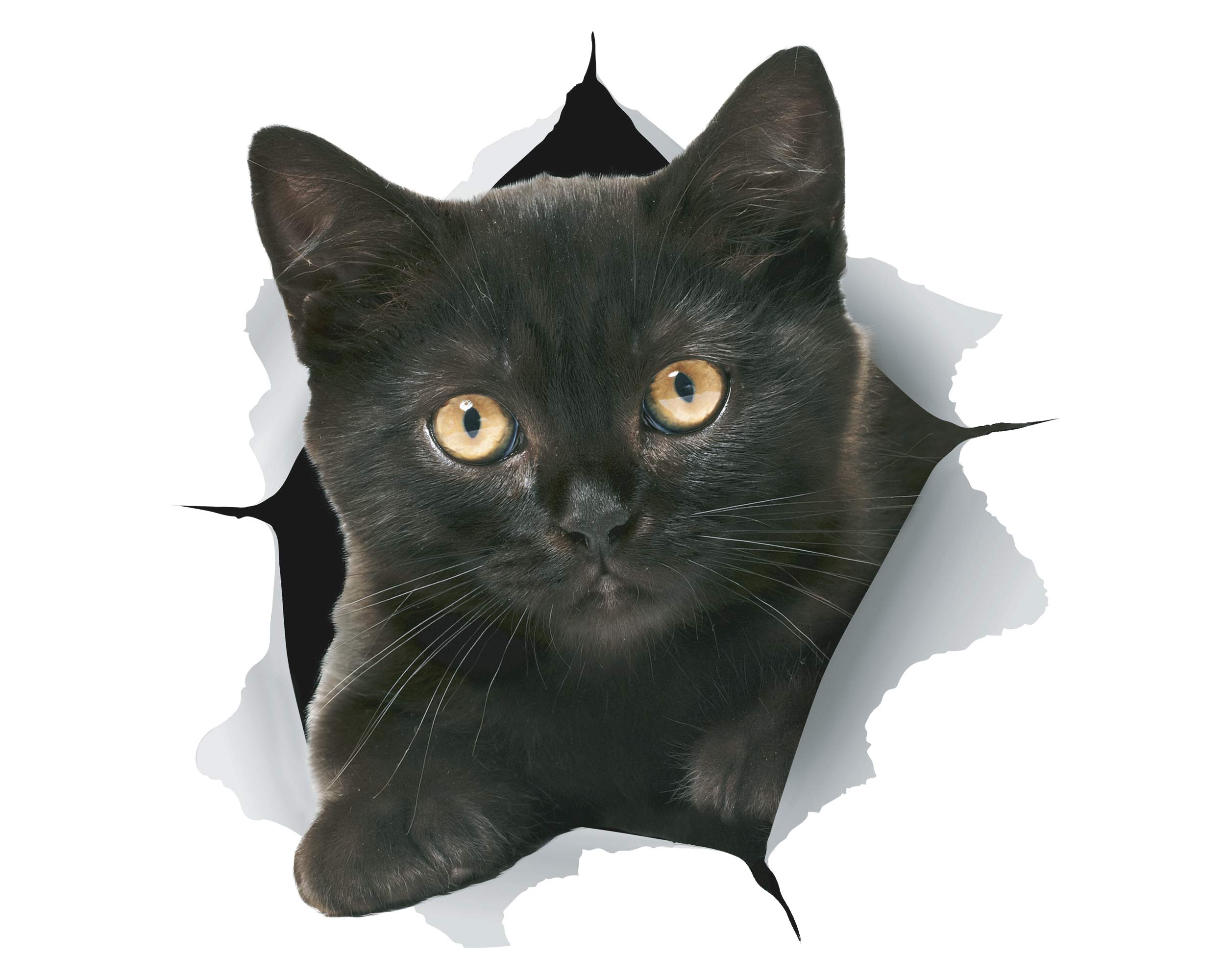 Winston & Bear 3D Cat Stickers - 2 Pack - Black Wall Decals - Lover Gifts - Stickers for Bedroom, Fridge, Toilet, Car - Retail Packaged (Cheeky Black Cat)