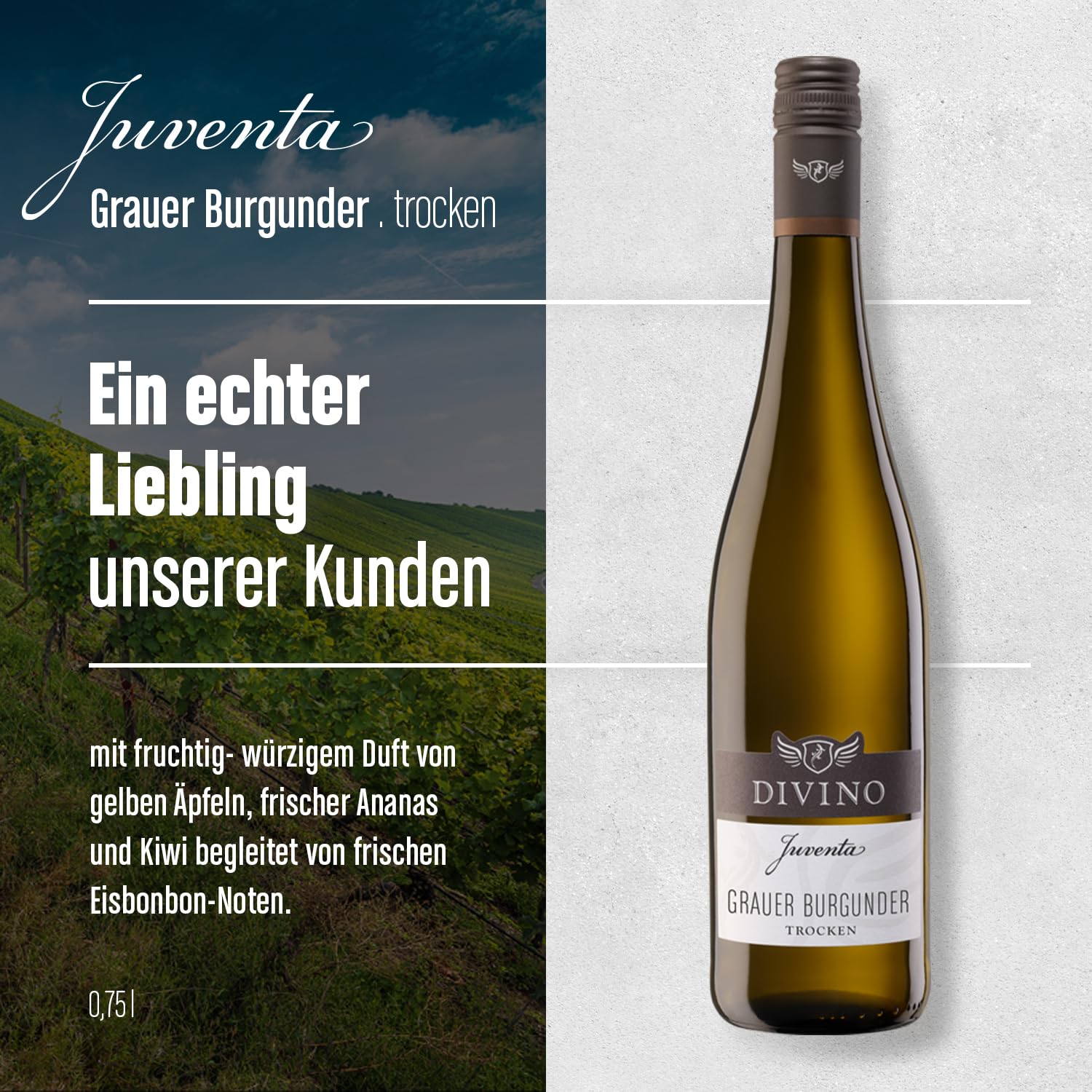 DIVINO Juventa Frankenwein Probierpaket - Silvaner, Grauer Burgunder, Scheurebe, Rotling, Merlot, Cuvée - Qualitätsweine direkt aus den Weinbergen Frankens (6 x 0,75l) 3