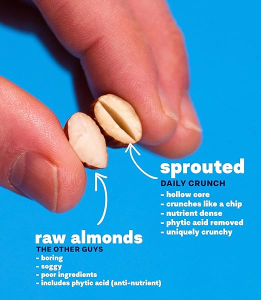 DAILY CRUNCH SPROUTED ALMONDS – 5 OUNCE BAGS (ORIGINAL SPROUTED, SINGLE BAG – 5 OUNCES)