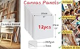 Exerz Canvas Panels 20x25cm 12pcs 100% Cotton 280gsm Triple Primed view 2