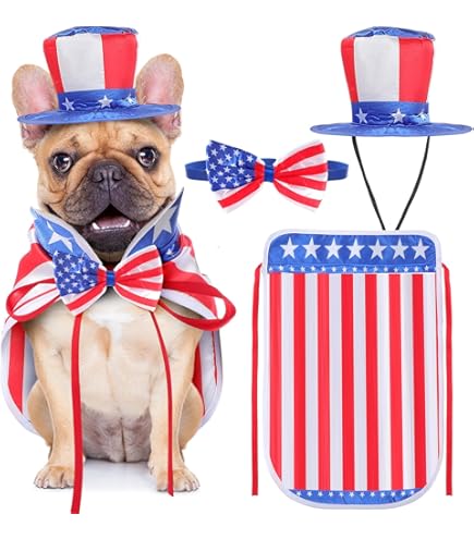Amazon 4th Of July Dog Shirt Matching Dog And Owner Clothes My