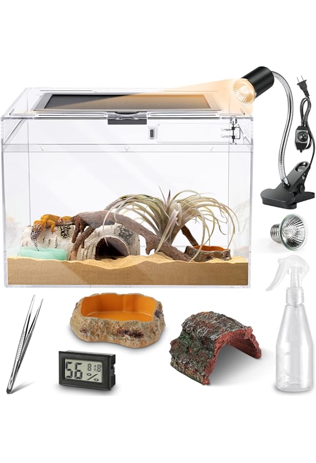 starter kit for snakes