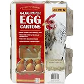 6-Egg Paper Egg Cartons - 24 Pack