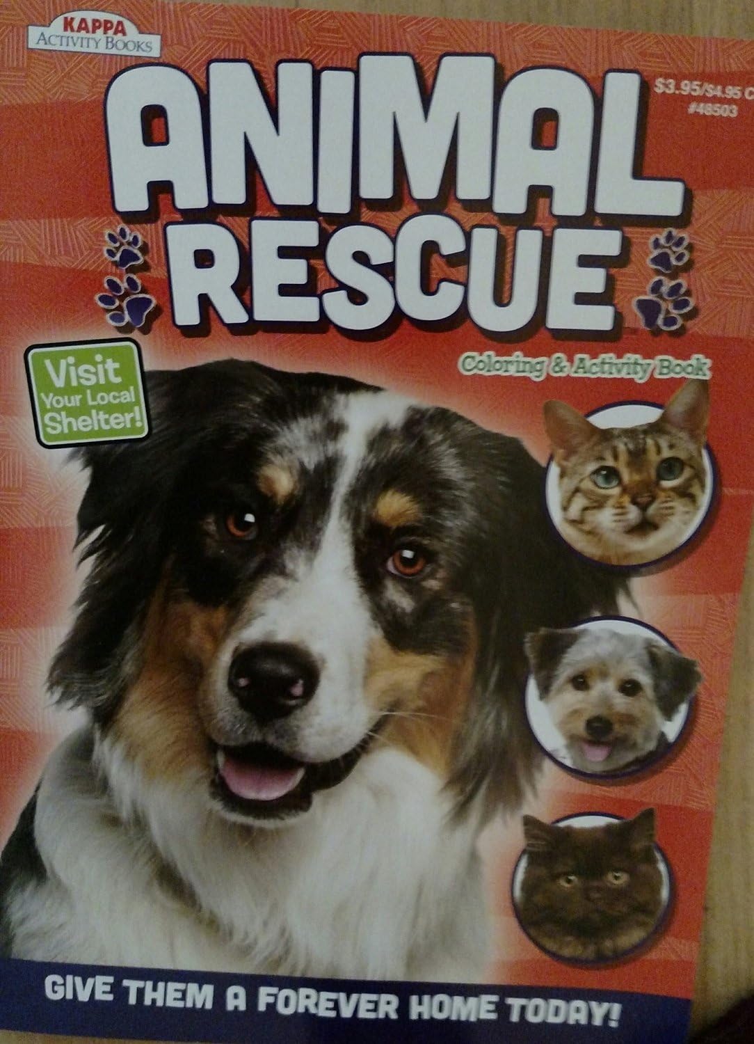 Amazon Com Kappa Publication 148503 Animal Rescue Coloring Book Assorted Styles Toys Games