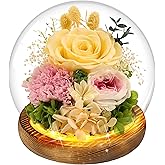MOKOQI Yellow Rose Valentines Day Gifts for Her Gifts for Womens Mothers Day Gifts for Mom Grandma - Preserved Real Rose in Glass Dome with LED Strip, Fresh Flowers for Delivery on Birthday