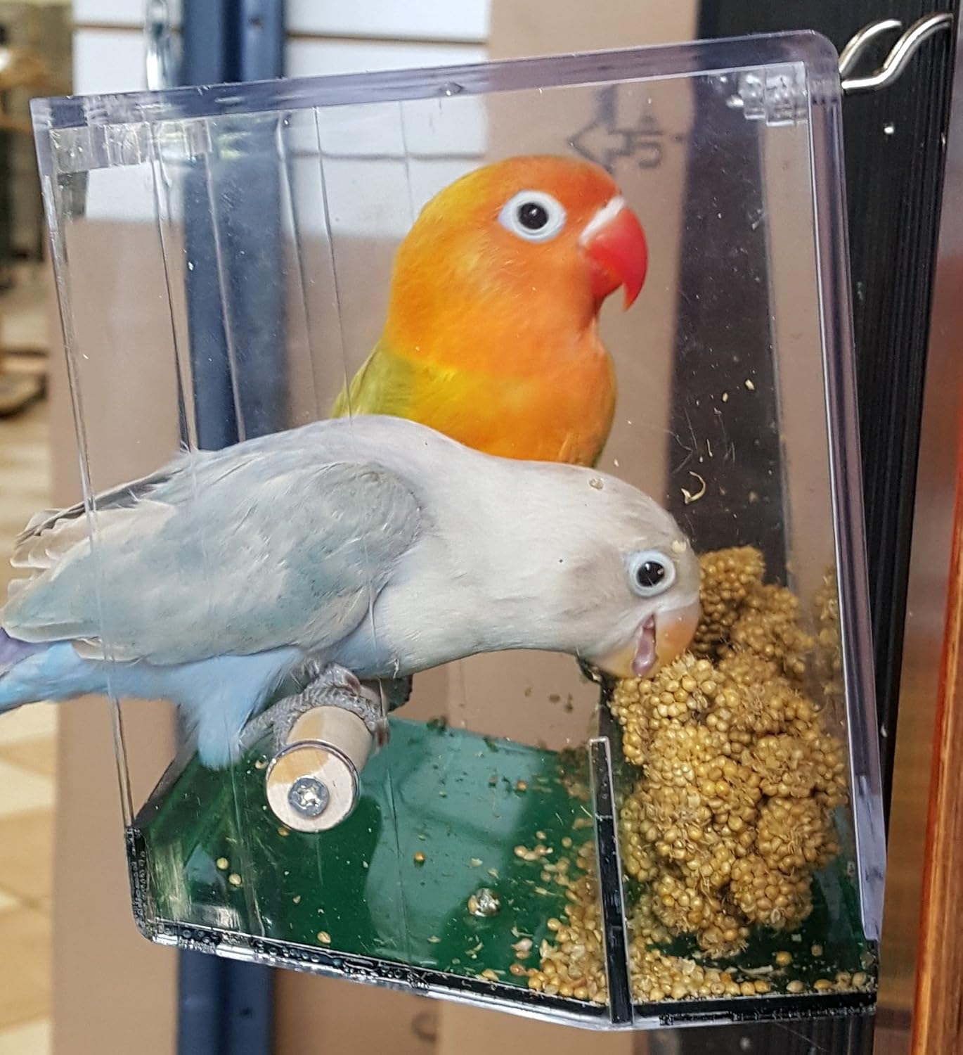 Birds Love Bird Feeder Seed Tray For Lovebirds Cockatiels