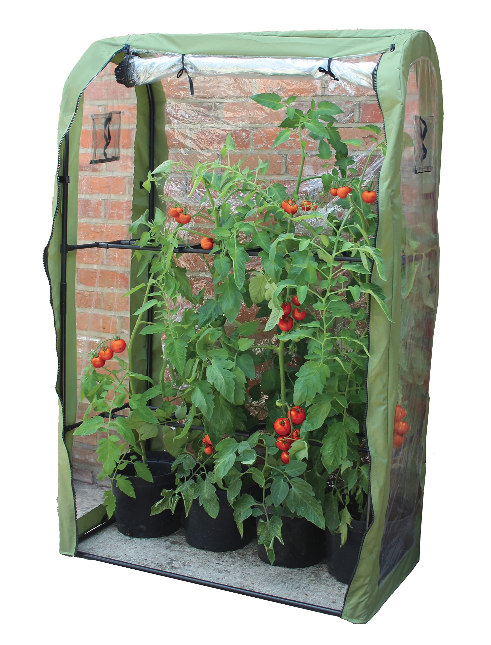 Haxnicks Tomato Crop-Booster Poly Cover | L 100cm x W 50cm x H 160cm | FRAME220101, Green/Clear