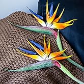 DUYONE Artificial Flowers Bird of Paradise 37'' Large Latex Fake Greenery Plants Long Stem Red Plants 2Pcs for Home,Living Room,Bedroom,Dining Table(Orange 2pcs)