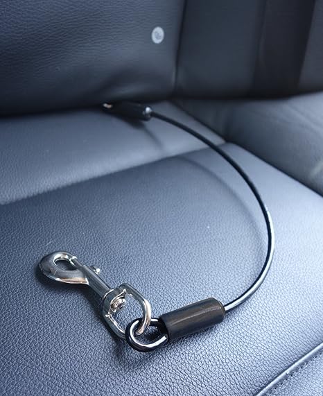 metal dog seat belt