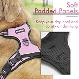 rabbitgoo Dog Harness Medium No Pull Front & Back Clips Reflective Pink view 3