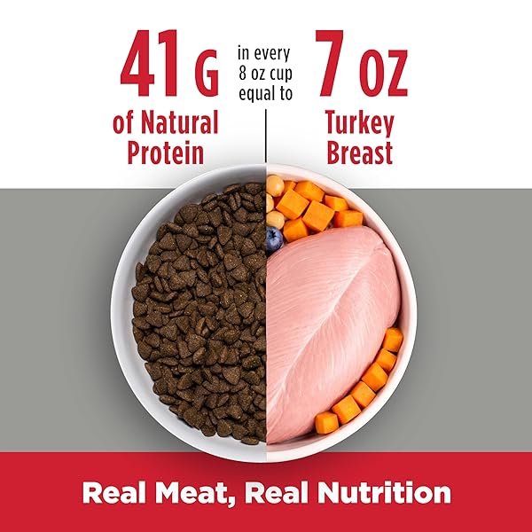 NULO FREESTYLE ADULT DRY DOG FOOD – TURKEY & SWEET POTATO, PREMIUM GRAIN FREE DOG FOOD WITH PROBIOTICS FOR HEALTHY GUT, SKIN AND COAT, NATURAL HIGH PROTEIN KIBBLE FOR SMALL, MEDIUM, LARGE BREEDS, 6LB