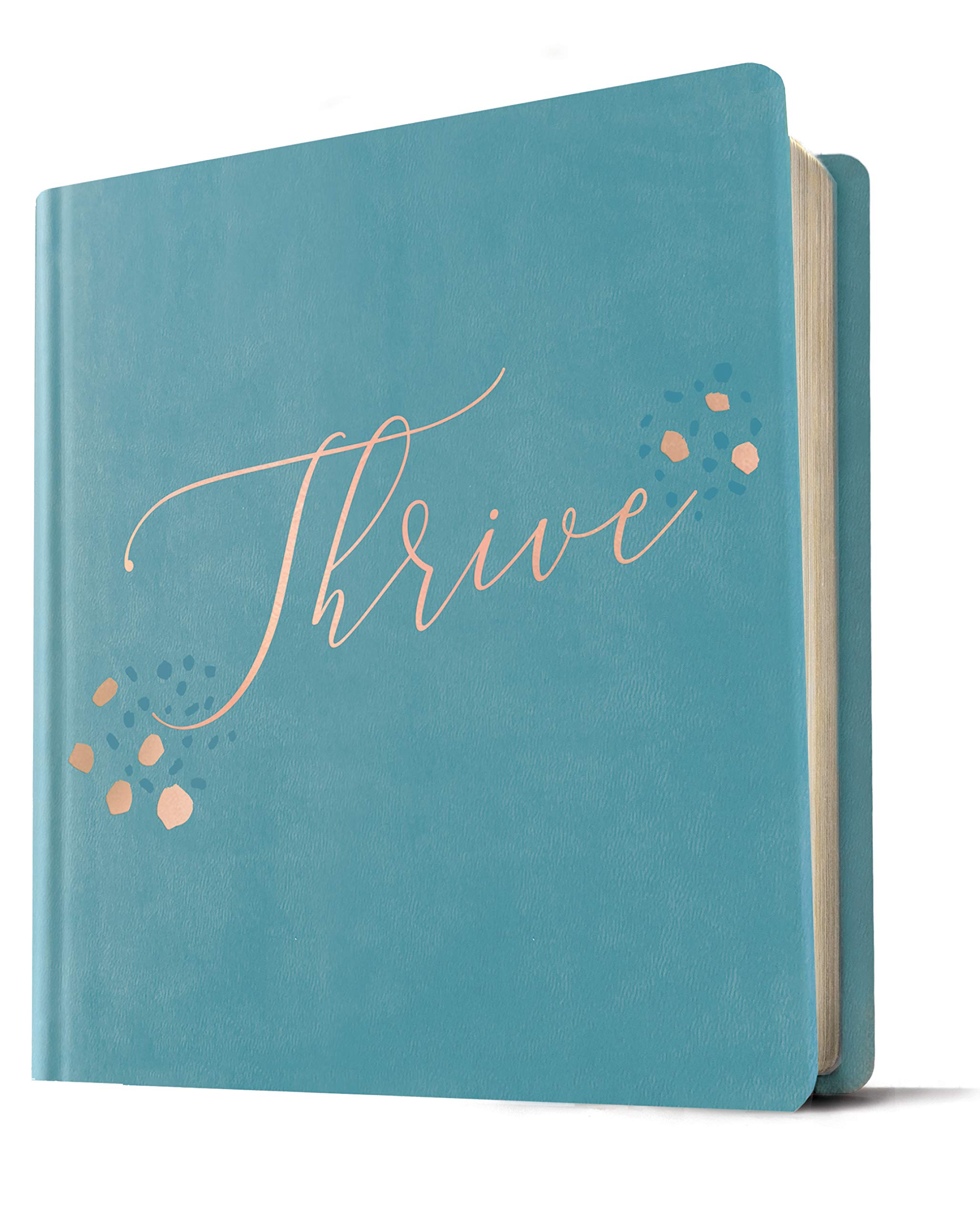 NLT THRIVE Creative Journaling Devotional Bible (Hardcover LeatherLike, Teal Blue with Rose Gold) NLT THRIVE Creative Journaling Devotional Bible (Hardcover LeatherLike, Teal Blue with Rose Gold) Imitation Leather