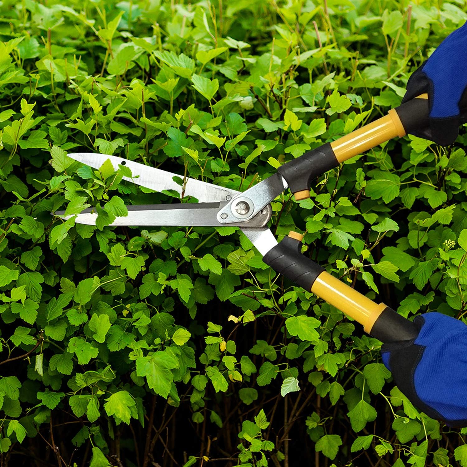 Centurion 208 Hedge Shears with 10-inch Blade, Shock-Absorbing Bumper Aluminum Handles for Trimming Borders, Boxwood, Bushes, Manual Hedge Clippers with Comfort Cushioned Grips : Garden & Outdoor