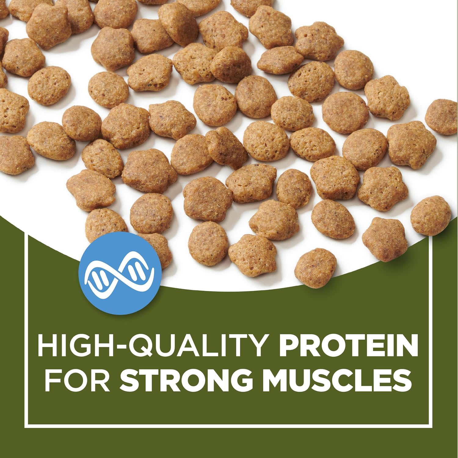 Purina Cat Chow Grain Free, Natural Dry Cat Food, Naturals With Real Chicken - 6.3 lb. Bag : Pet Supplies
