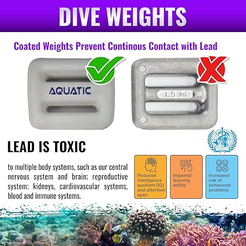 Dive Weights Kg In Pounds AQUATIC Dive Weights Or Or Or 1Kg Or