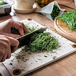 Back to the Roots 100% Organic Seed Packet - Dill