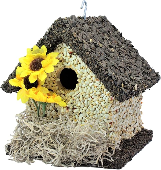 Amazon Com Edible Birdhouses Handmade Short Dark Unique