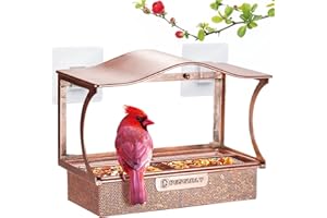 Window Bird Feeder, Desgully Durable Metal Window Bird Feeder, Window Bird Feeders with Strong Suction Cups, Super Adhesive S