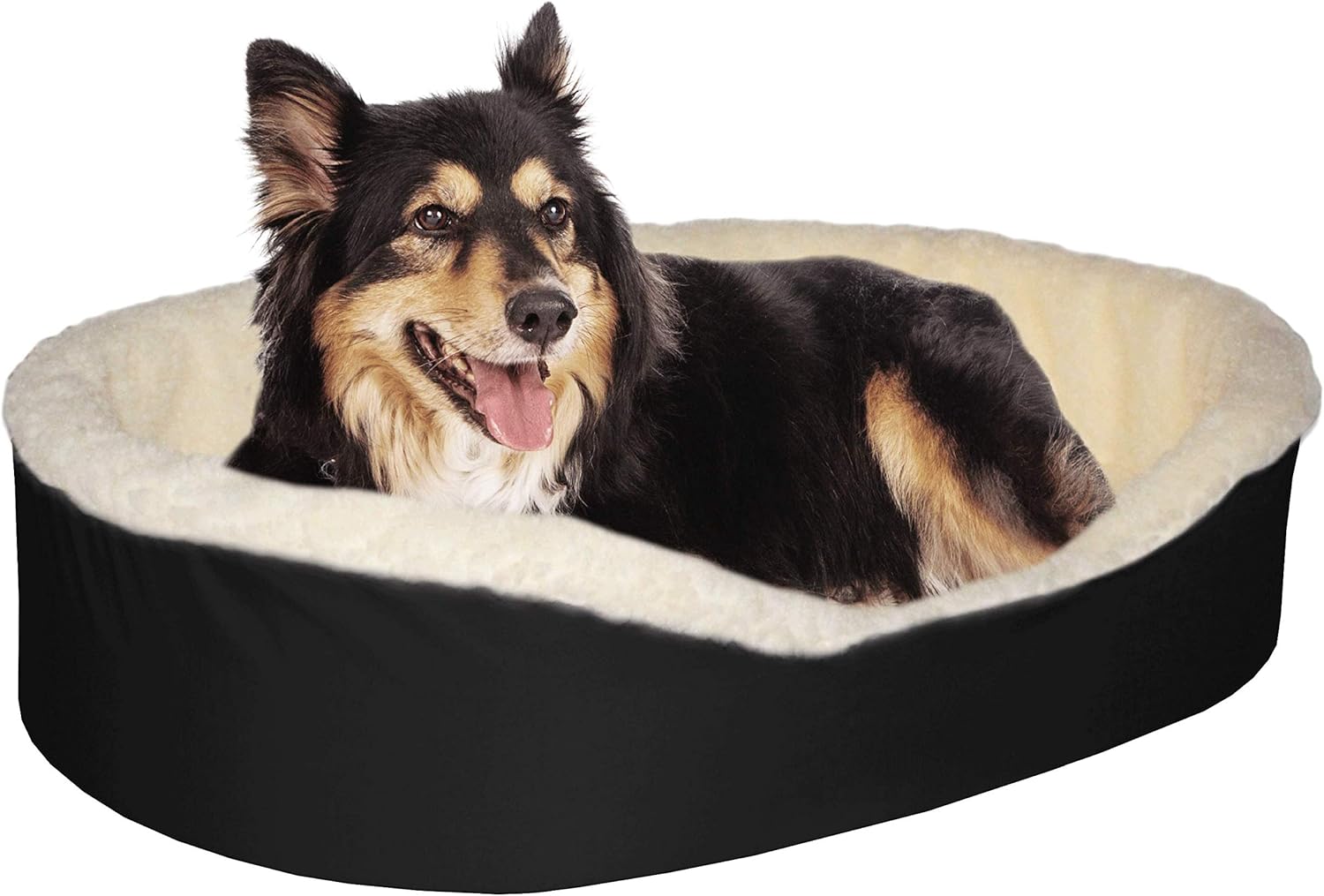 unique beds for dogs