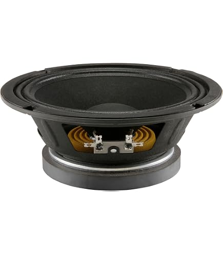 Jensen Altoparlante Per Amplificatori Per | Reverb Deutschland