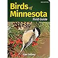 Birds of Minnesota Field Guide (Bird Identification Guides)