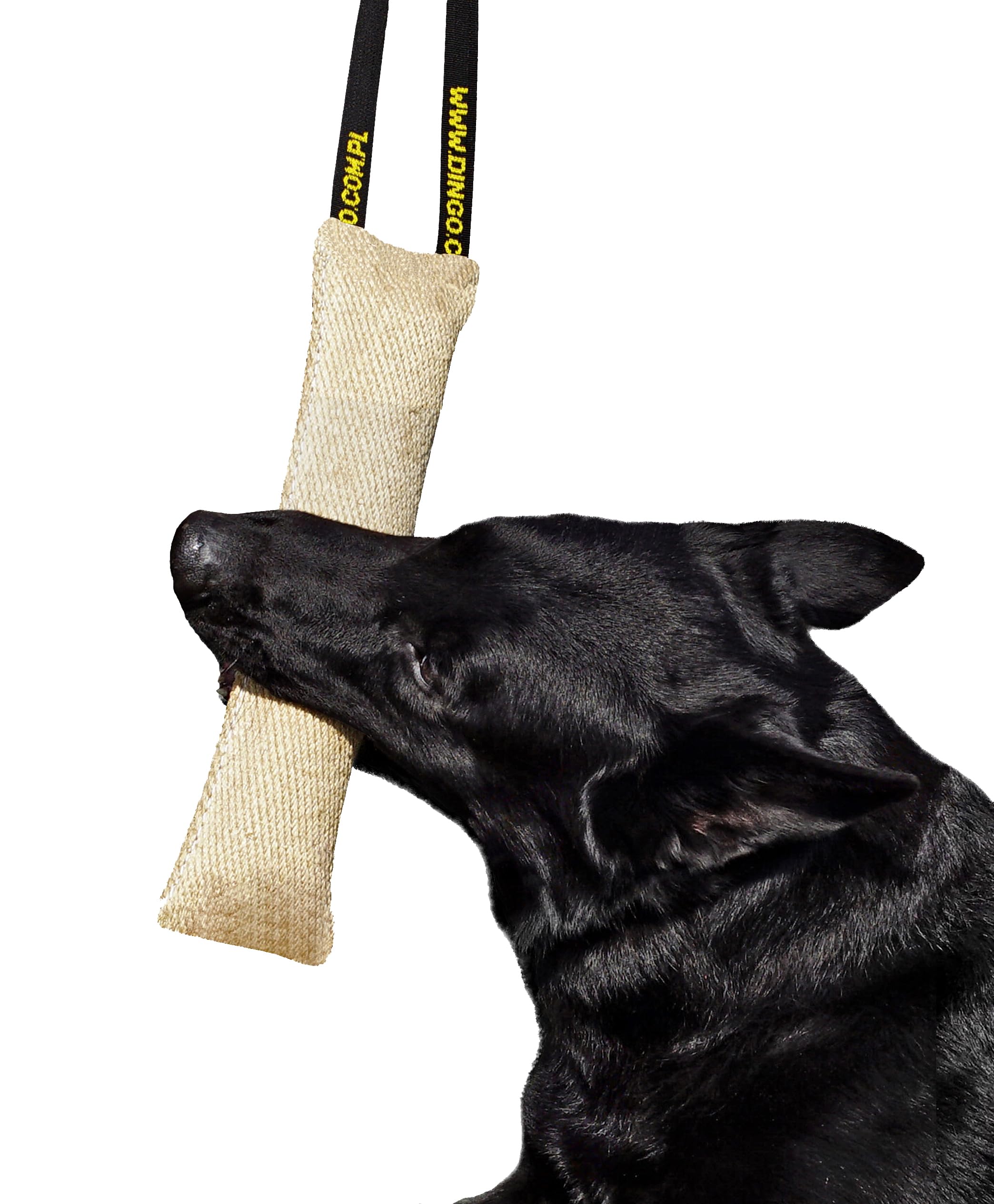 DINGO Jute Tug Toy Strong 1 Handle Pull Rope for Dog Training, Retrieve, Bite Work, Prey Drive, Tug of War, Fun, Handmade Dummy 60 cm Natural Colour 10538 โ image 1