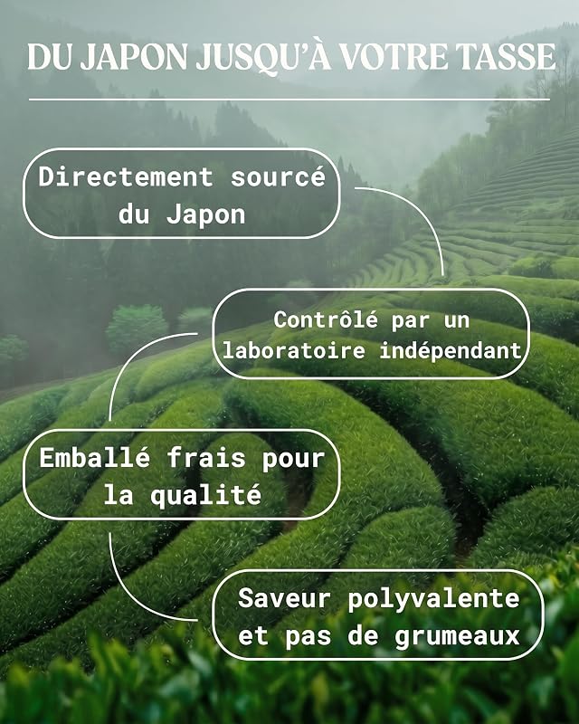 Matcha Japonais Bio Premium en Poudre L-Théanine