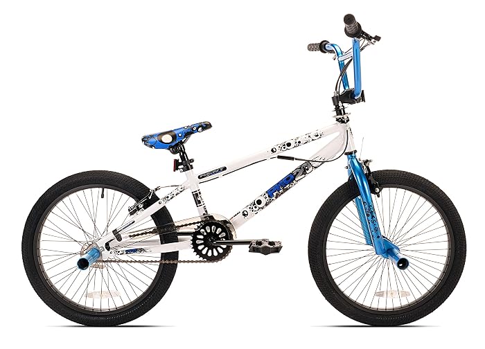 Top 10 Best BMX Bikes For The Money 