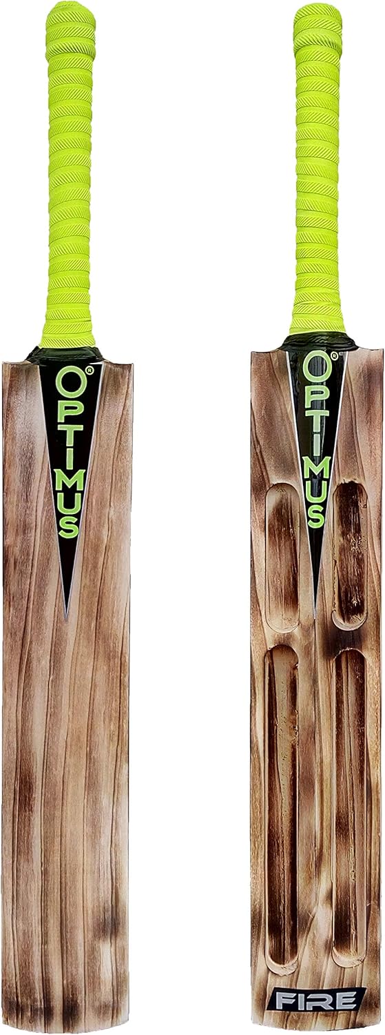 kashmir willow scoop bat