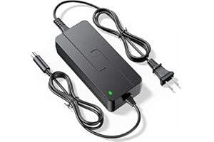 SAYSOLAK 42V 2A Electric Scooter Charger for AovoPro M365 Pro ES60 EW6 ES80 AP07 365GO VT01, Macwheel MX1 MX2 MX3 MX Pro, YADEA KS5 KS5 Pro KS1 KS3, 9.8Ft Power Adapter for 36V Lithium Battery