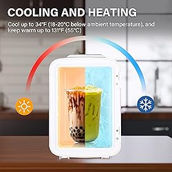 YSSOA 4L/6 Can Portable Mini Fridge Warmer & Cooler