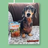 Pawtato Blueberry Vegan Dog Sticks 120g Low Fat Plant-Based Chews view 6